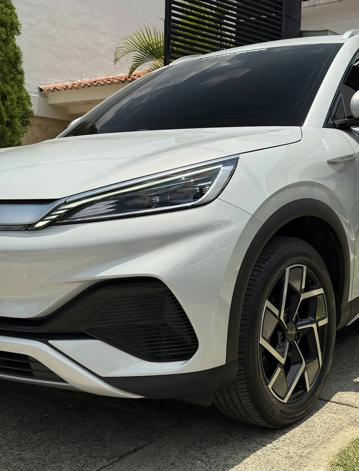 BYD Atto 3 (Yuan Plus) - photo 2